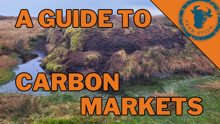 A Guide to Carbon Markets