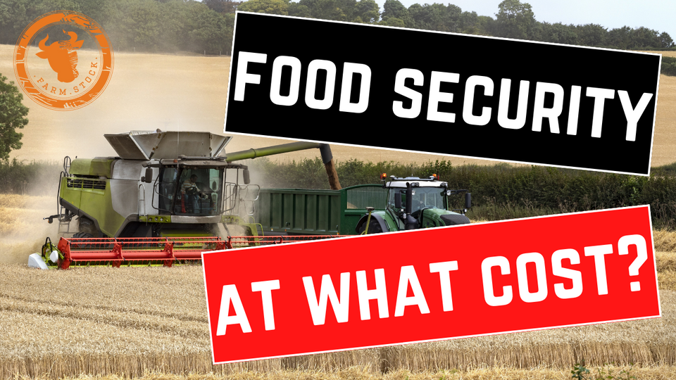 Food Security. But at what cost?