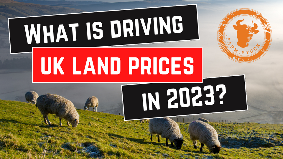 What is driving UK land prices in 2023?